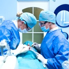 A dentist and her team perform dental implant surgery on a patient